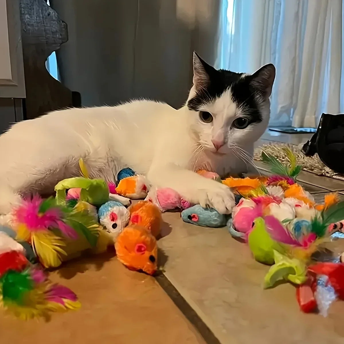 PurrPlay Mix Cat Toys Bundle
